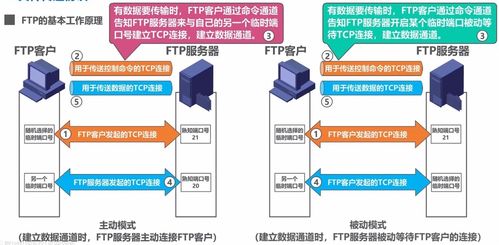 计算机网络学习笔记